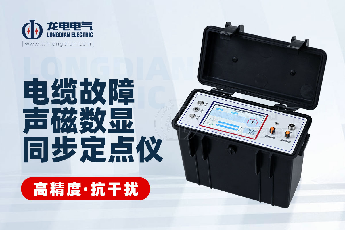 聲磁同步定點(diǎn)儀 聲磁同步定點(diǎn)儀